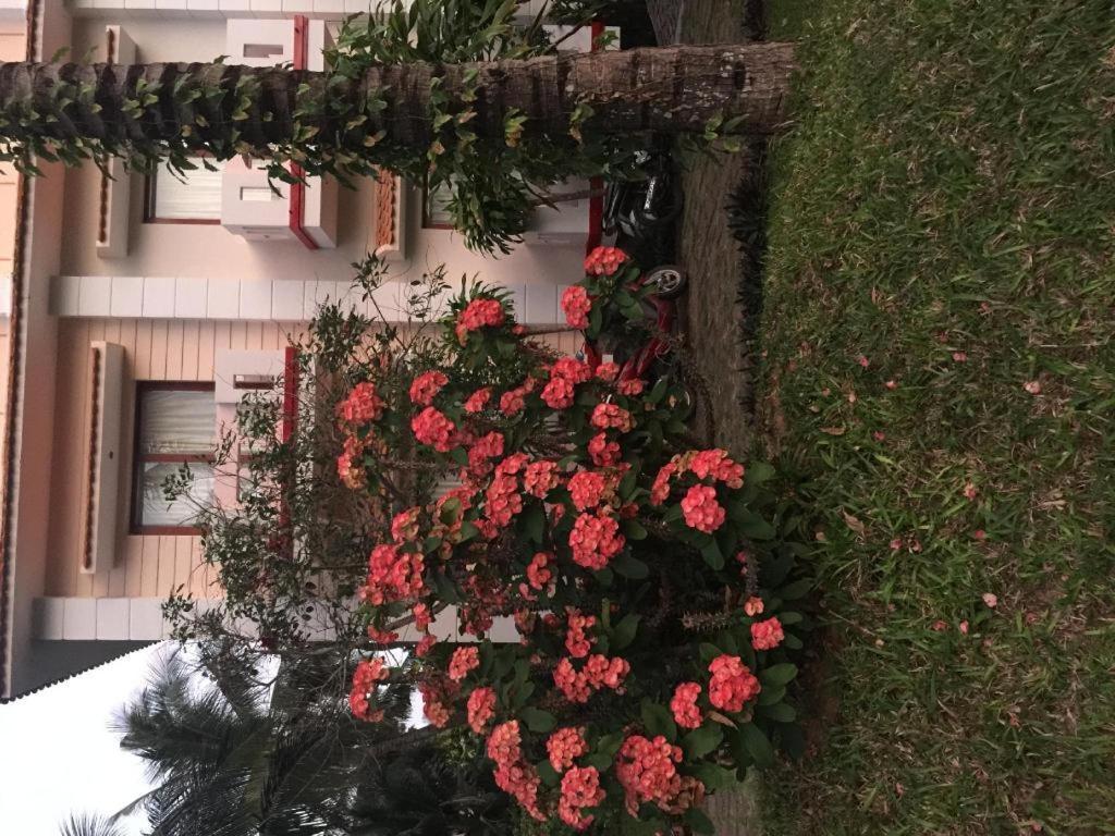 Non Nuoc Resort Μούι Νε Εξωτερικό φωτογραφία